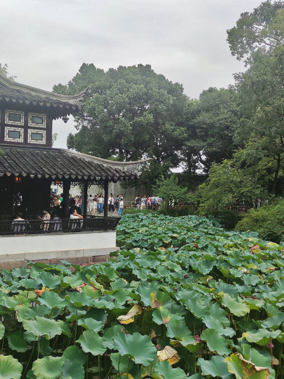 jardins
