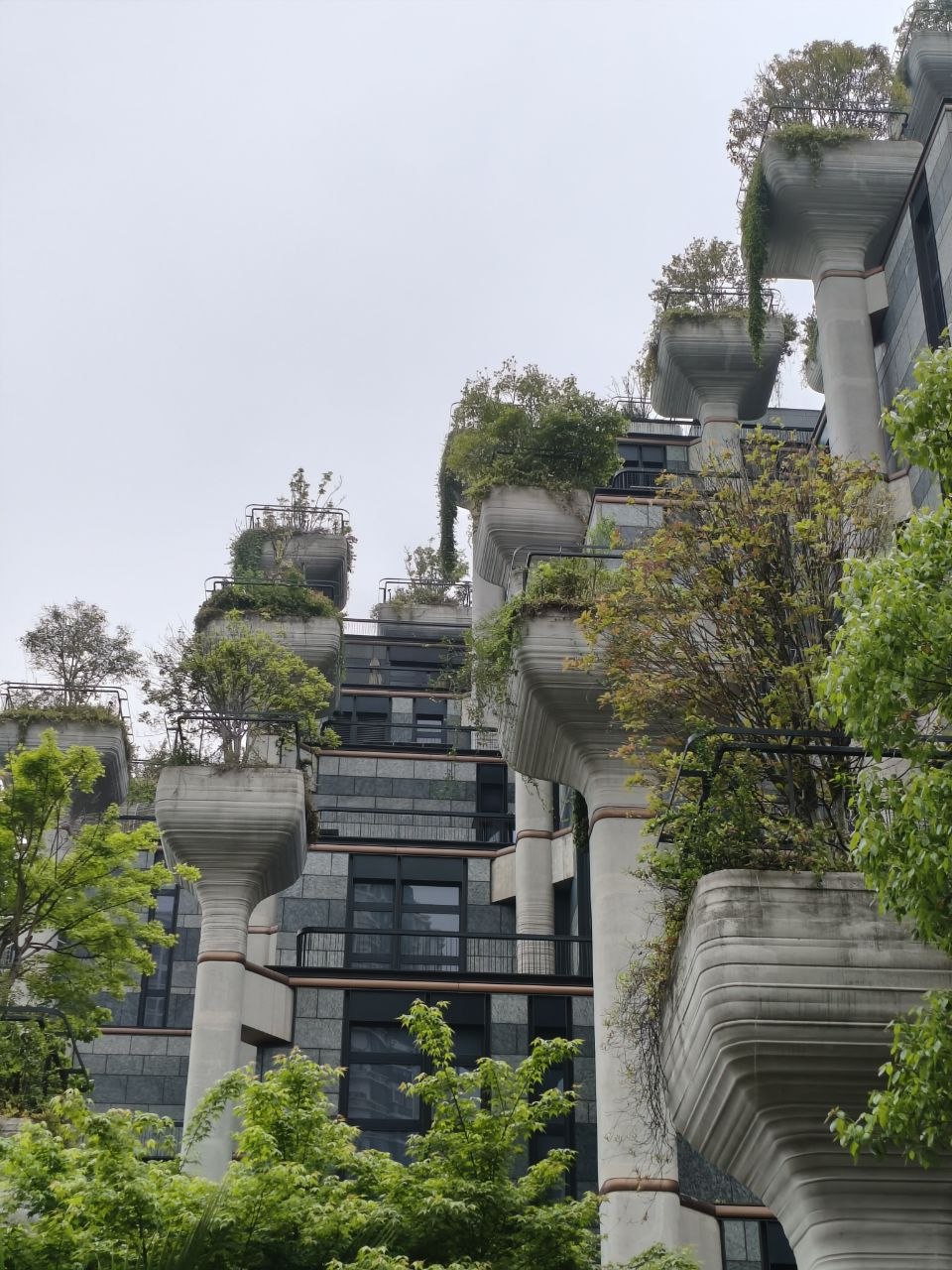 jardí penjant