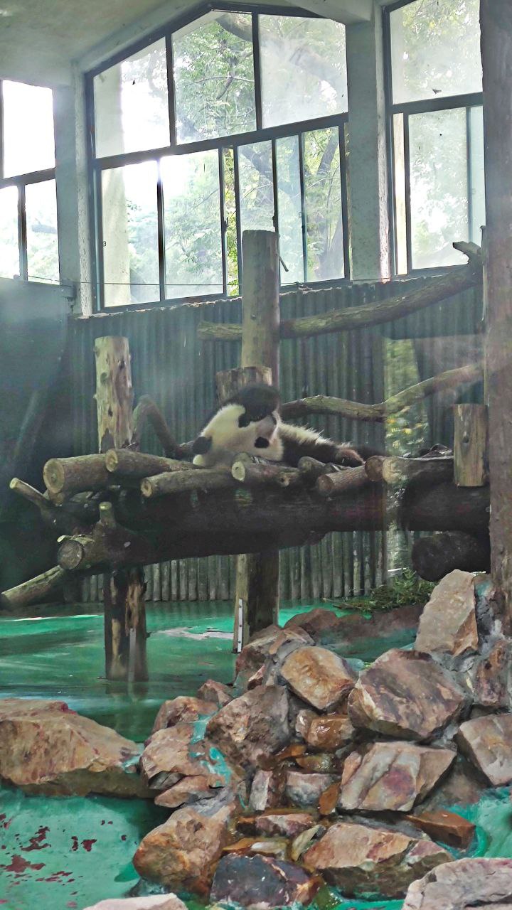 zoo